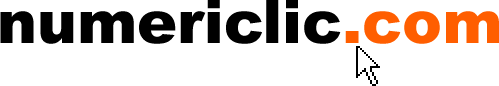 Logo numericlic.com